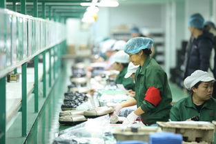 拼多多賦能“拼工廠”，深圳試點(diǎn)透明化生產(chǎn)，麥秸畫(huà)傳統(tǒng)工藝觸網(wǎng)新生